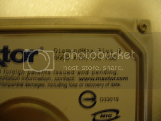 P1010482.jpg