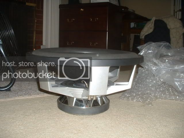 KittiesNSub002.jpg