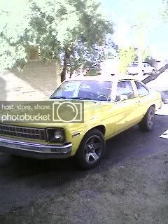 1227071216.jpg