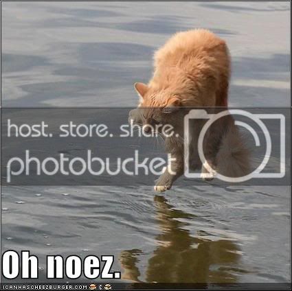 ohnoez2.jpg