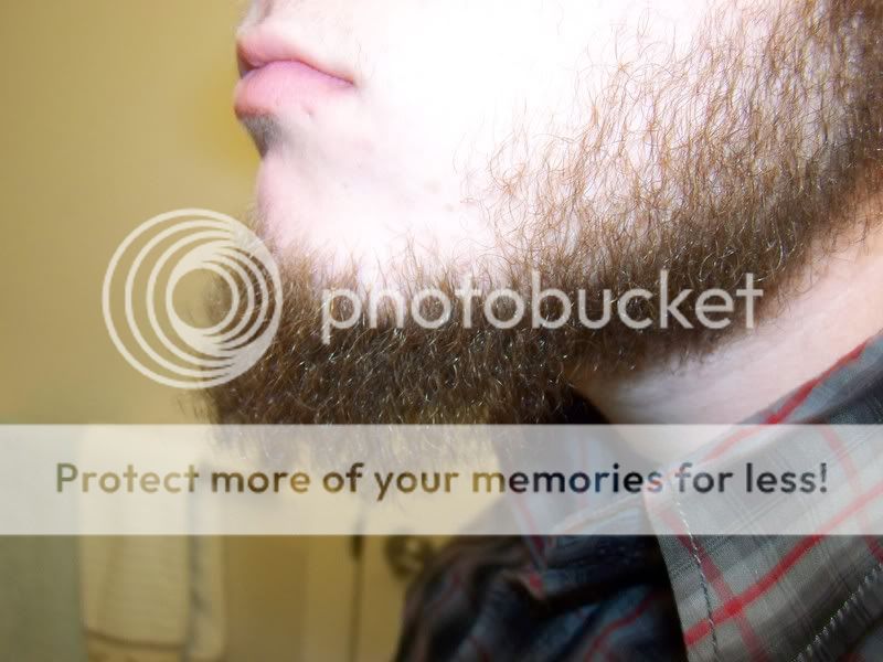beard002.jpg