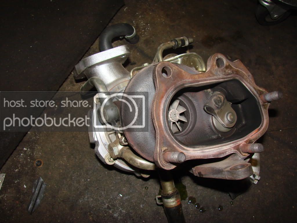 f944faa0.jpg