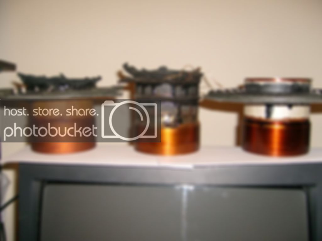 S7300251.jpg
