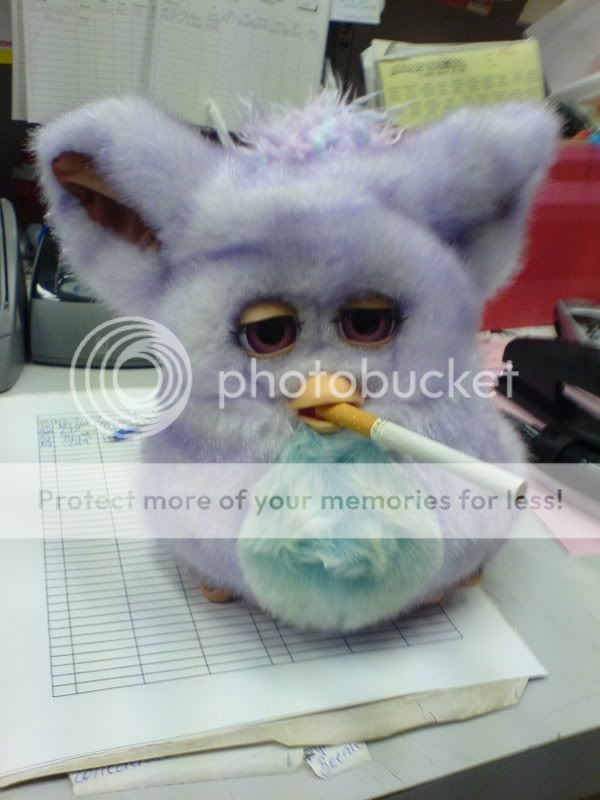 Furby.jpg