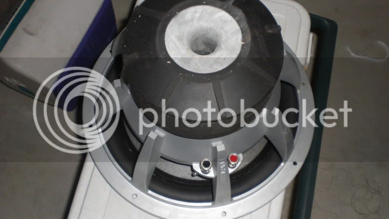 CIMG1165.jpg