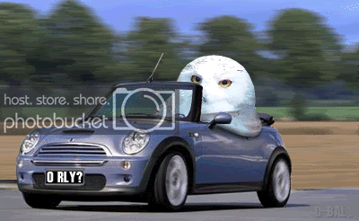 animini_114.gif