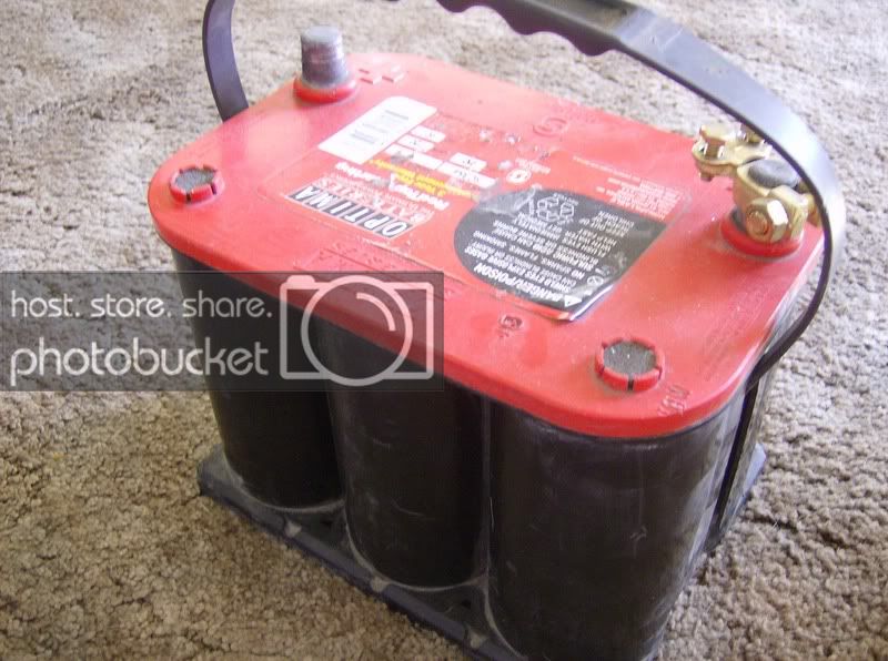 redtopfs004.jpg