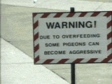 0004bcws.gif