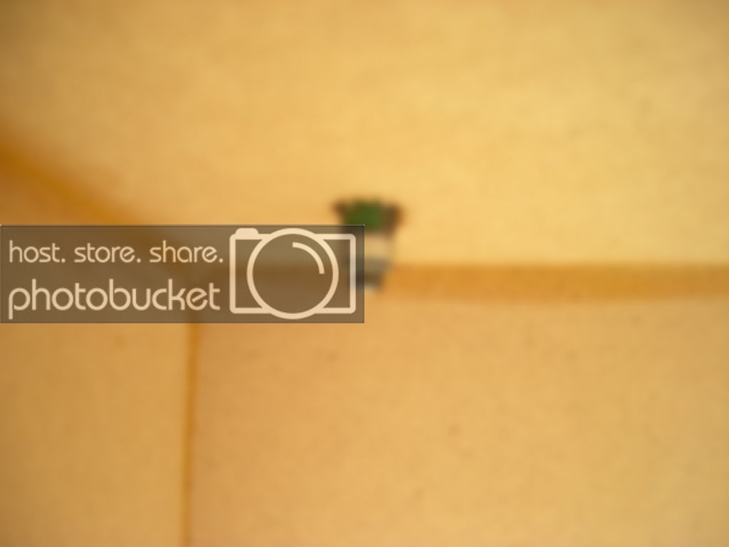 DSCN1774.jpg