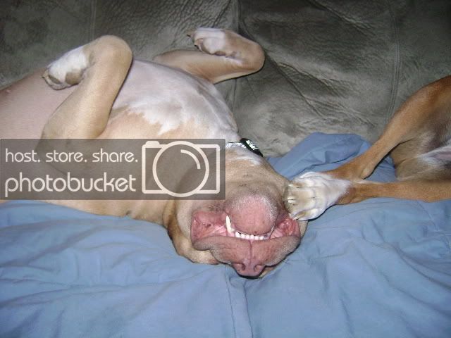 Drunk001.jpg
