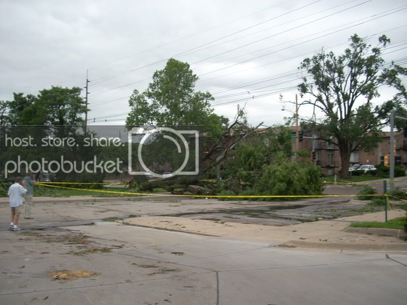 DSCN1016.jpg
