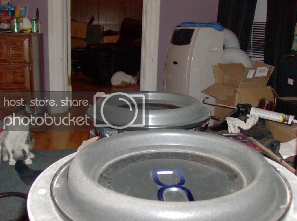 HPIM2766.jpg