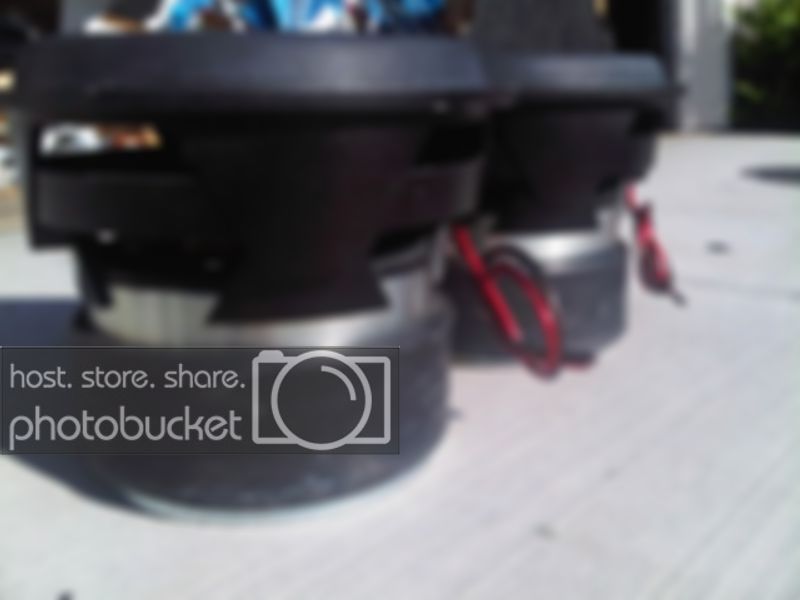 IMG01194-20100810-0829.jpg
