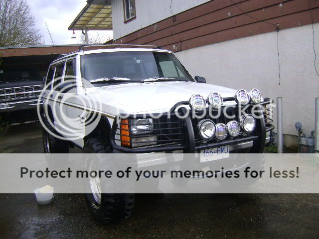 Picture362.jpg