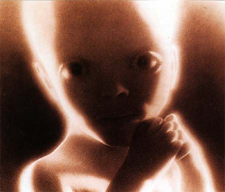 2001-A-Space-Odyssey-baby.jpg