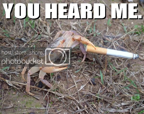 YouHeardMe.jpg