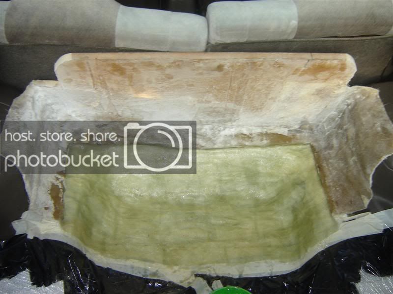 mold.jpg