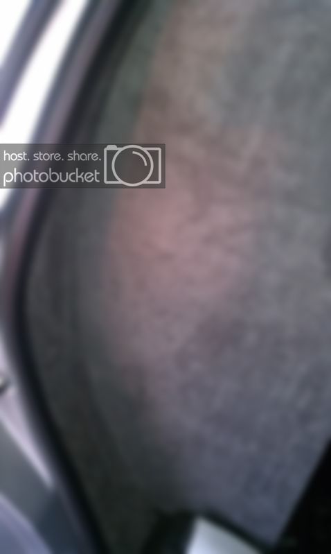 IMAG0192.jpg