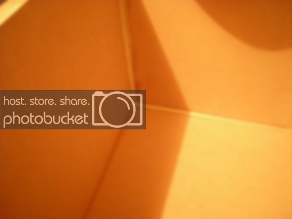 DSCN1600.jpg