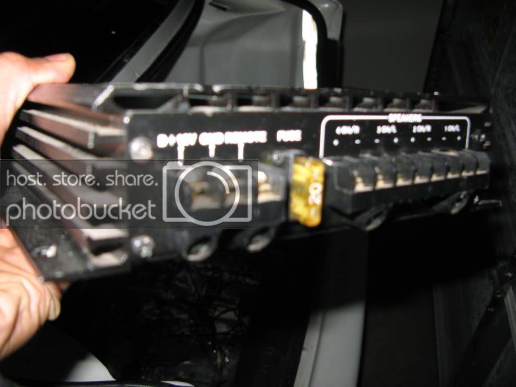 Picture016.jpg