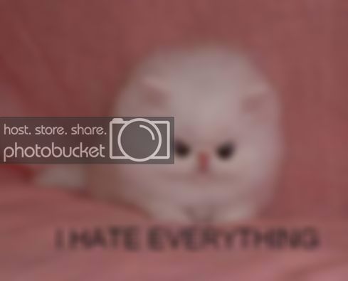 EmoCAT.jpg