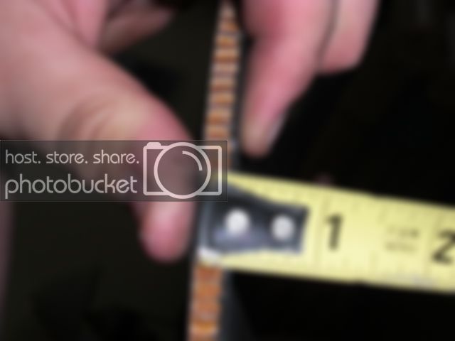 CIMG6174.jpg