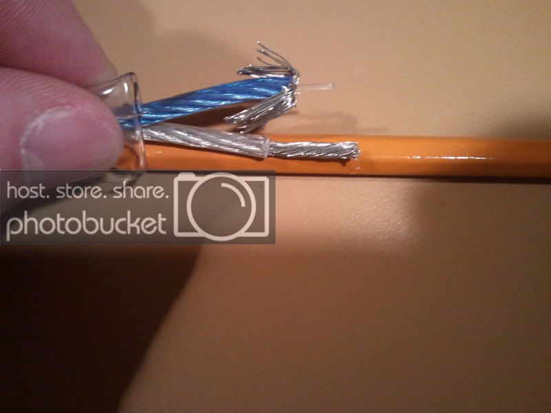 2011-03-09155357.jpg