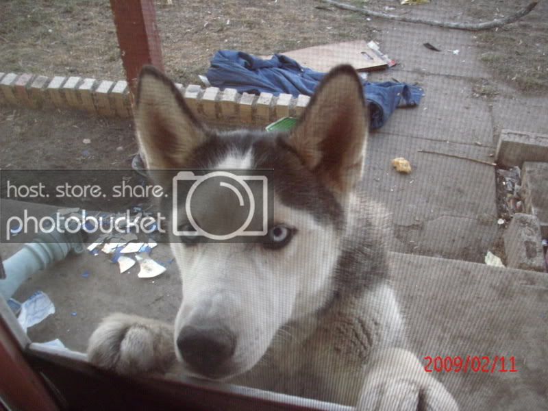 011-2.jpg