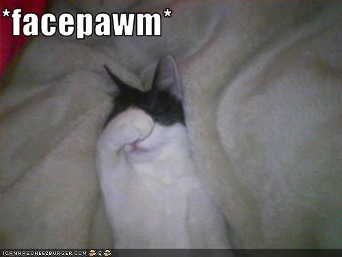 facepalm-1-copy.jpg