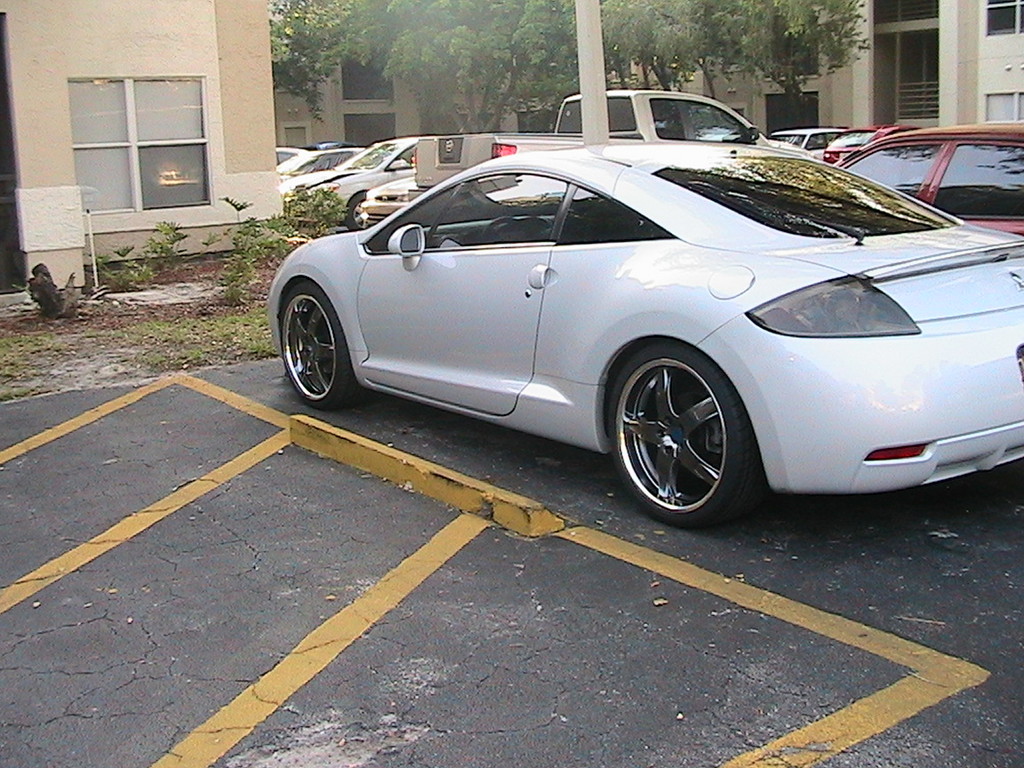 30699420013_large.jpg