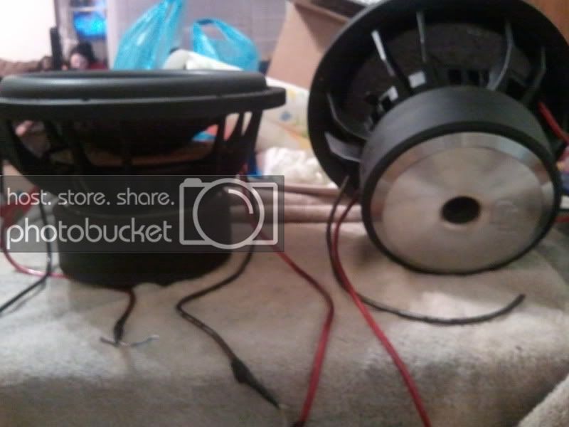 2011-01-14203650.jpg