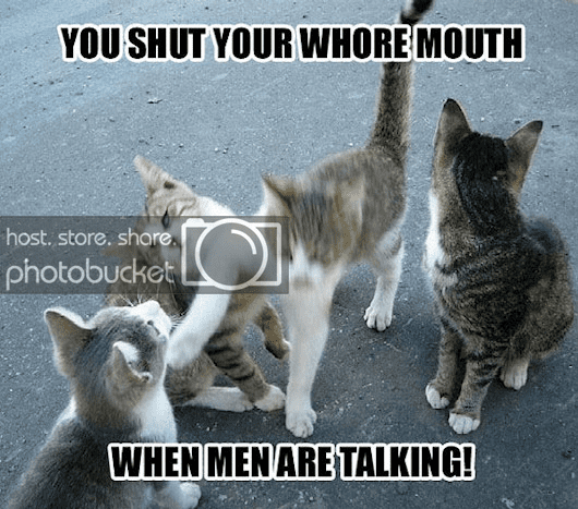 shutitcat.png