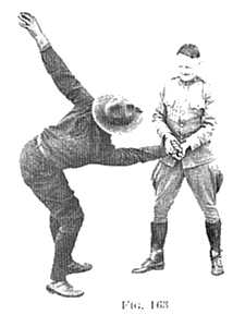 Fig163.jpg