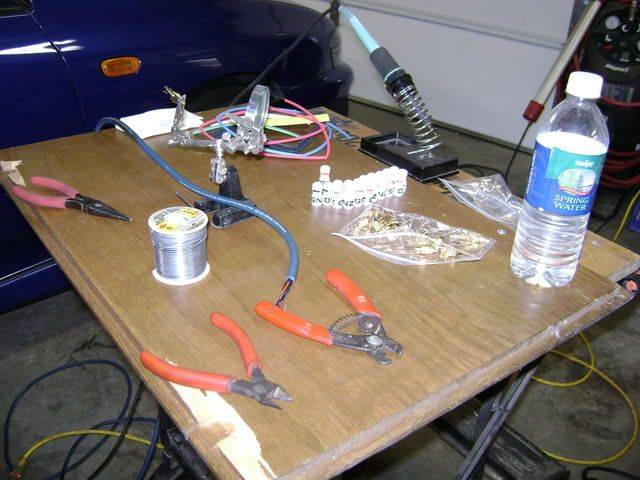 DSC01685.jpg