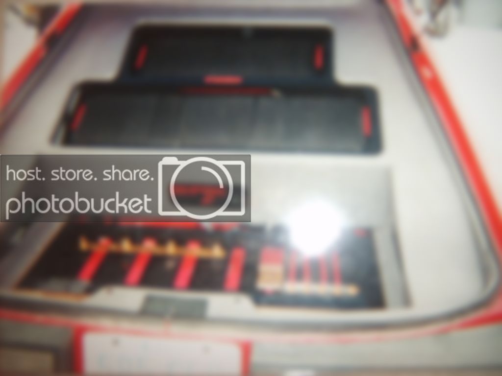 cobra001.jpg