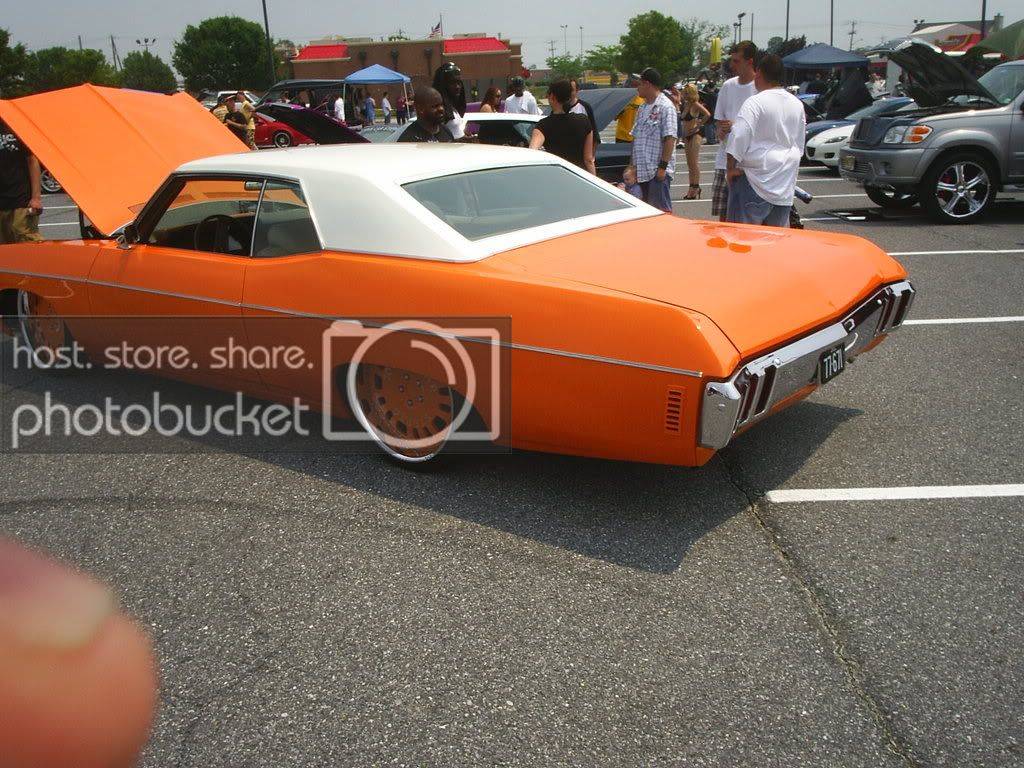 Picture249.jpg