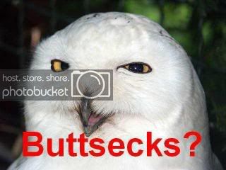 buttsecks.jpg