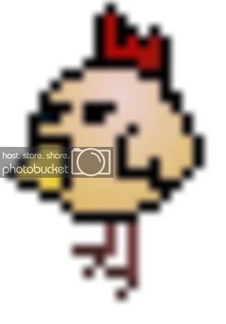 chicken.jpg