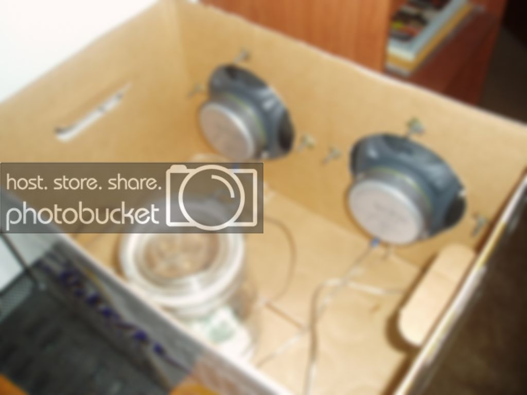 infinityspeakers008.jpg