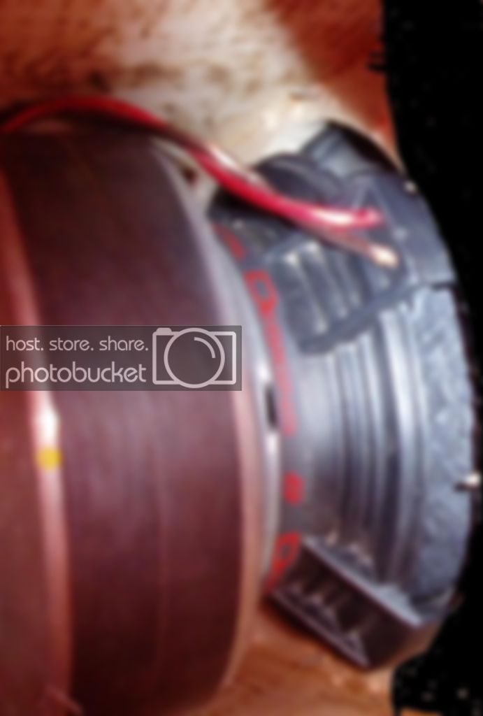 PA120390.jpg