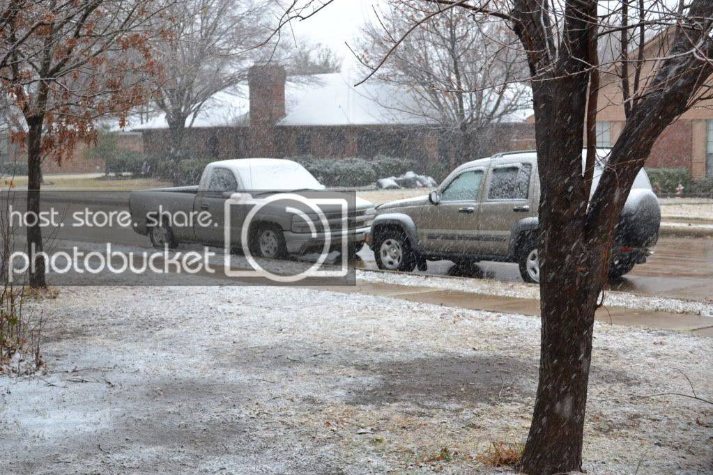 DSC_0284.jpg