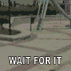 fail.gif