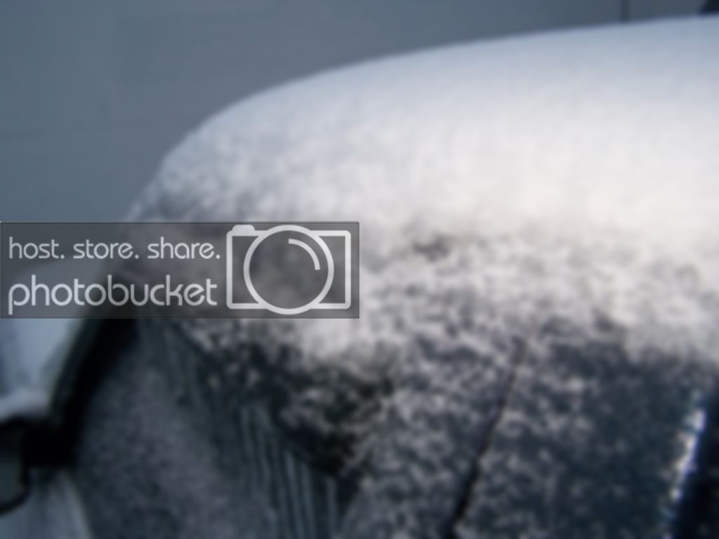 dec2008icestorm009.jpg