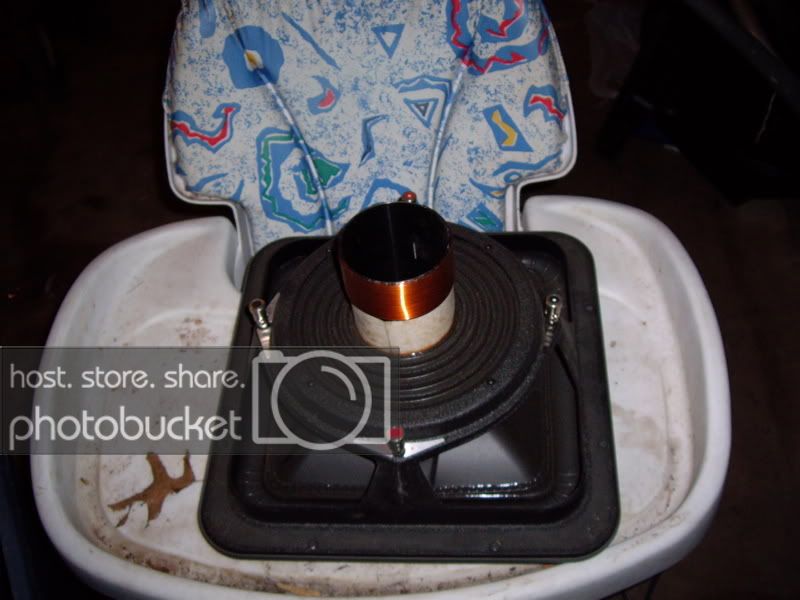 IMGP0121.jpg