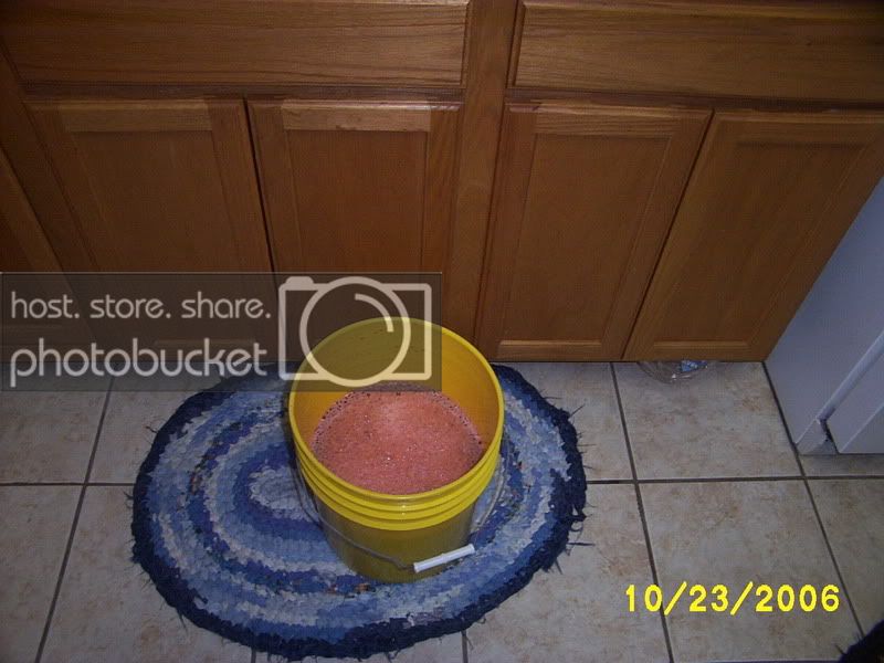 Picture373-1.jpg