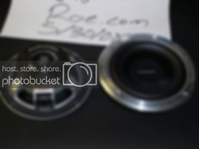 SL730428.jpg