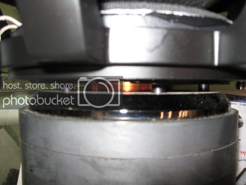 landdogsepcot111.jpg