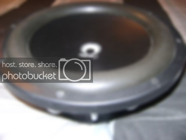 DSC01415.jpg