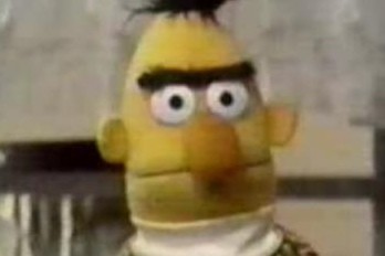 fpbert.jpg