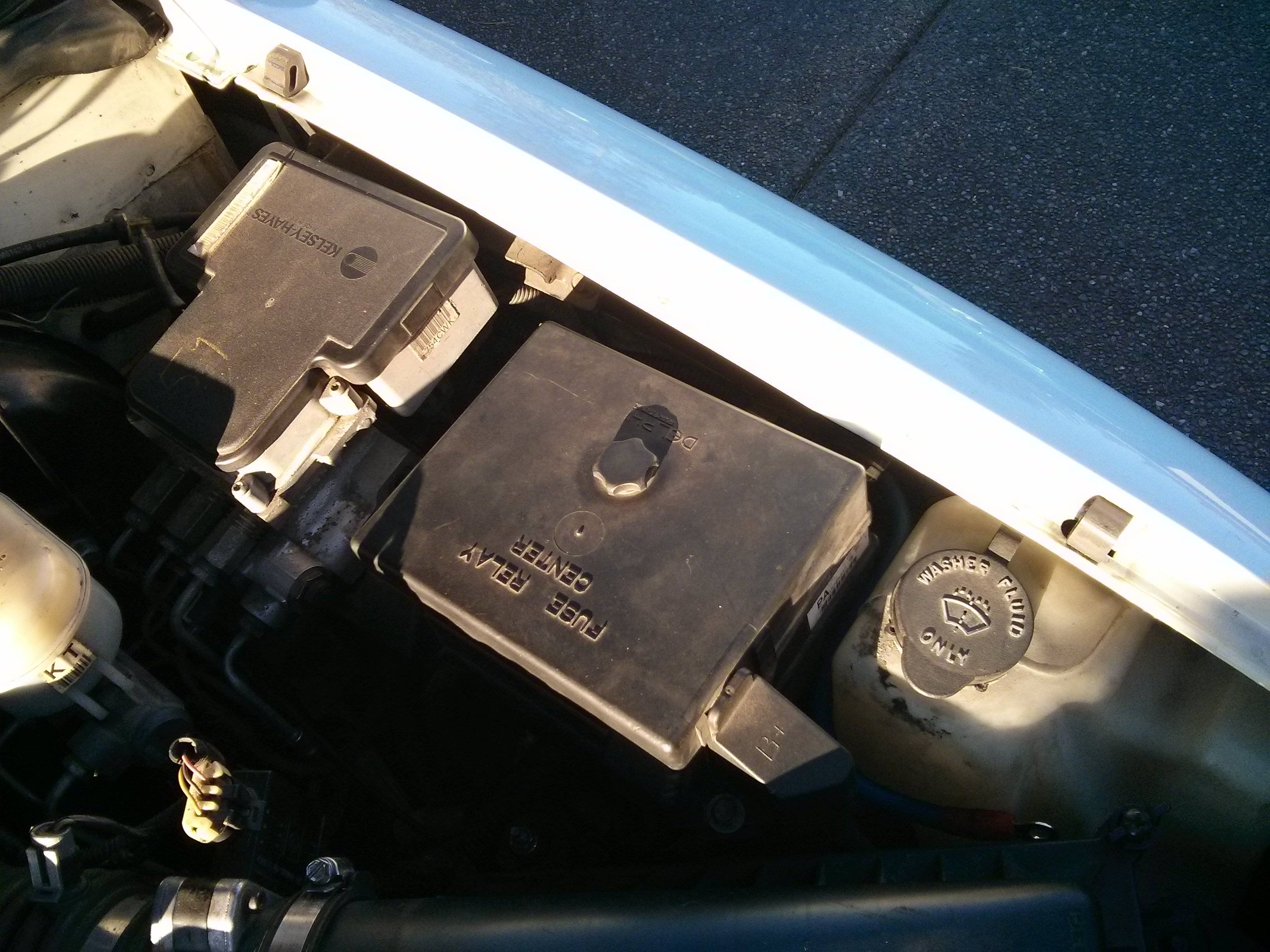 13shz86.jpg